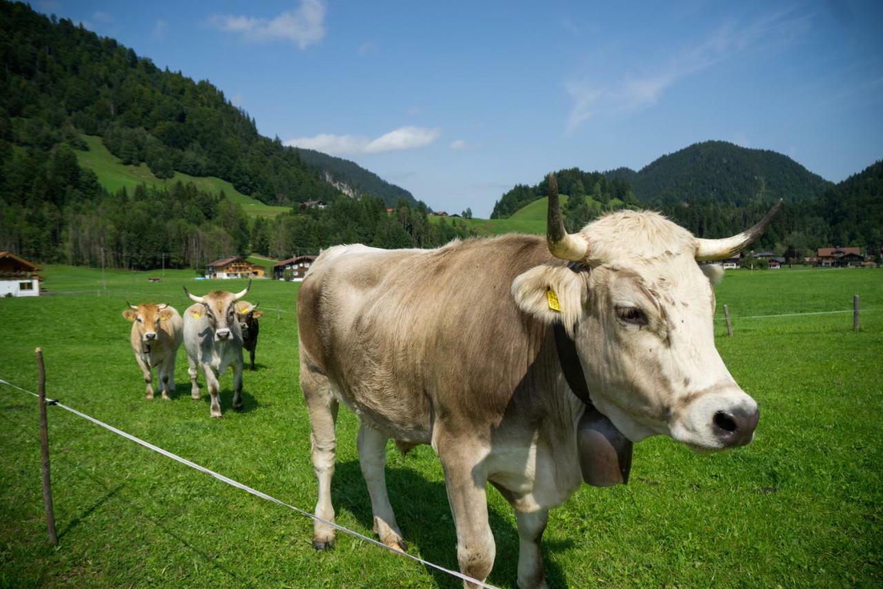Geigers Ferienhaus Tiefenbach bei Oberstdorf Esterno foto